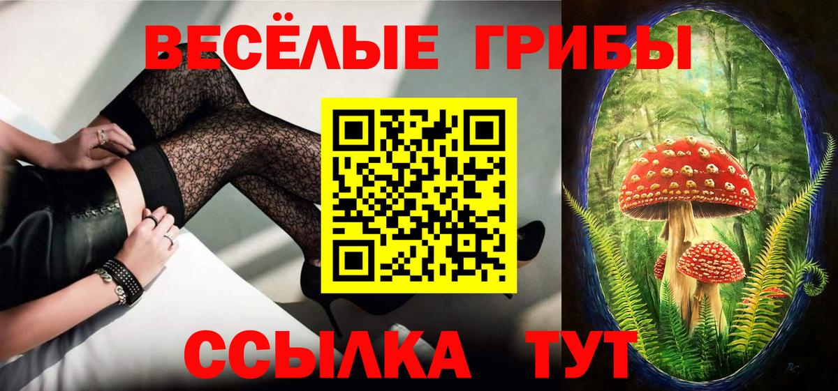 где можно купить   Галлюциногенные грибы Psilocybine cubensis  Вход с VPN  Нерюнгри 