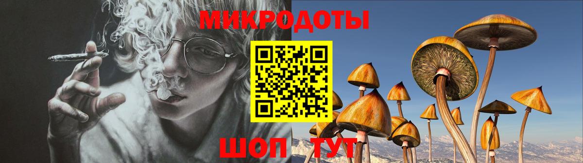 Псилоцибиновые грибы Psilocybe Нерюнгри