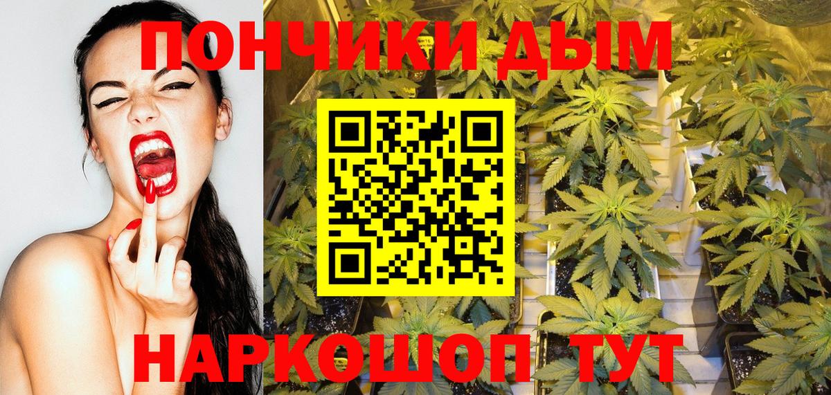 Бошки марихуана тримм  Марихуана ГИДРОПОН  Вход с VPN  Нерюнгри  Марихуана семена  Каннабис конопля 
